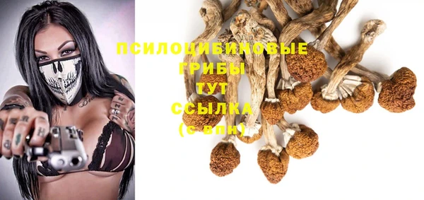 амф Верея